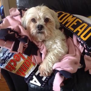 Meet your Posher, Joanne